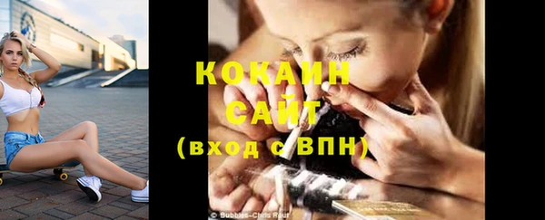 прущий лед Алзамай