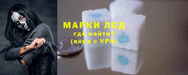 прущий лед Алзамай