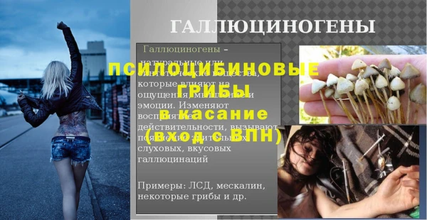 прущий лед Алзамай