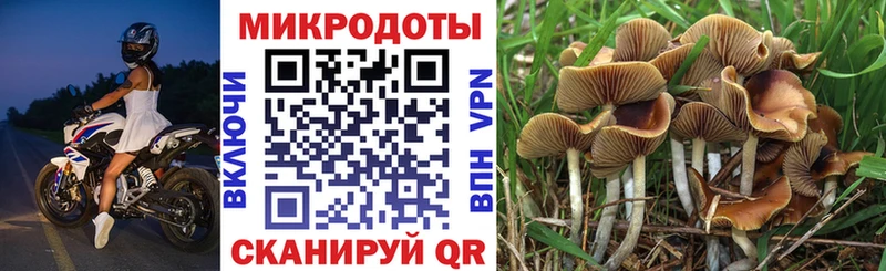 Псилоцибиновые грибы Magic Shrooms  Кирсанов 